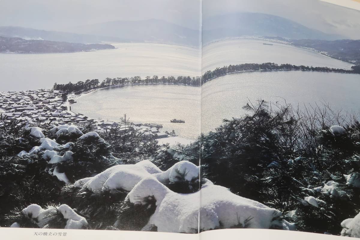 日本の名松・自然・庭園・盆栽/東山魁夷/日本庭園と松・中根金作/松と盆栽・加藤三郎/収録盆栽解説・加藤三郎/自然の松/庭園の松/盆栽の松_画像5