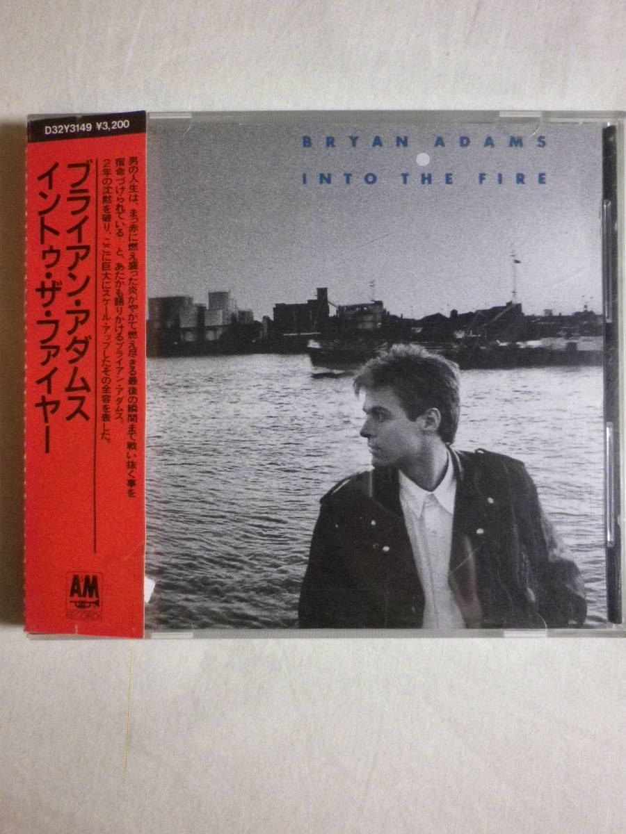 税表記無し帯 『Bryan Adams/Into The Fire(1987)』(1987年発売,D32Y-3149,廃盤,国内盤帯付,歌詞対訳付,Heat Of The Night,Hearts On Fire)_画像1