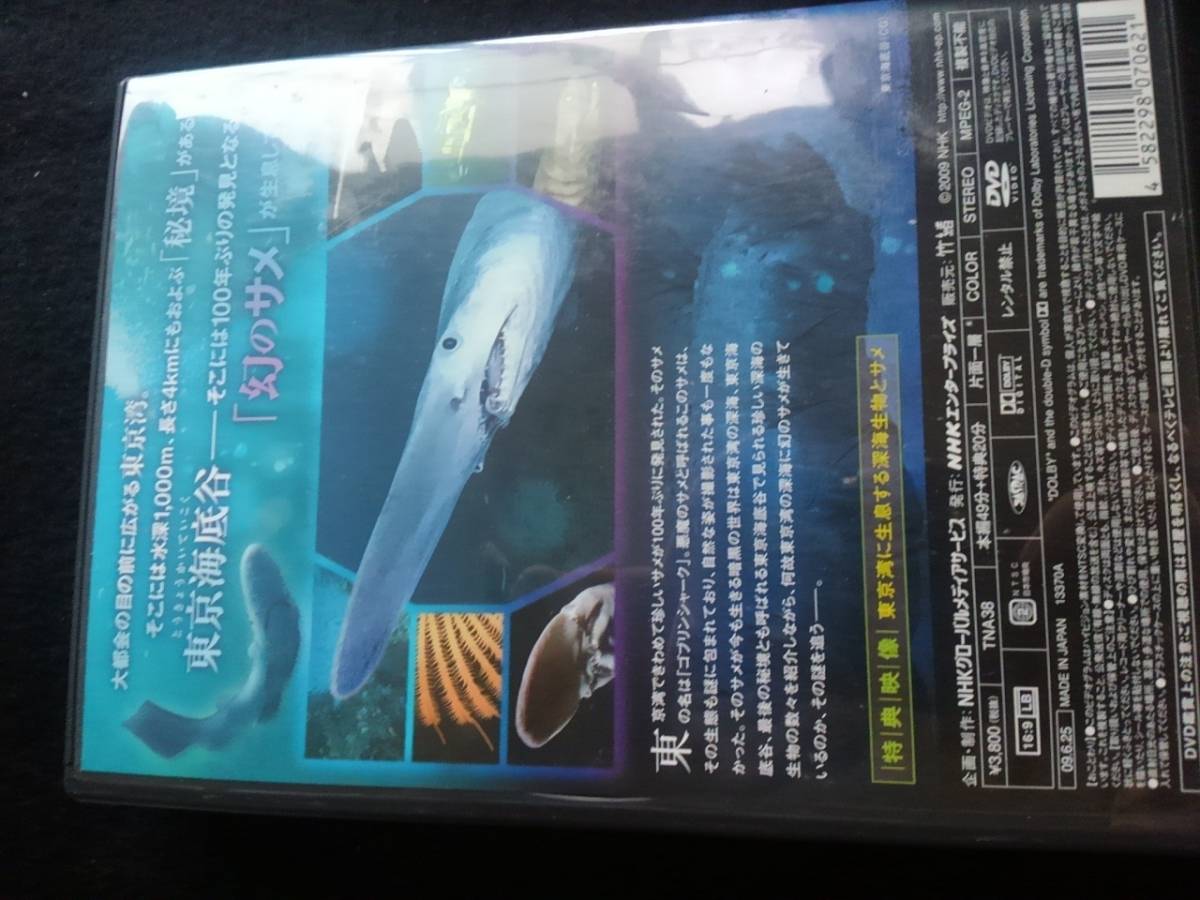  иллюзия. same..... Tokyo море низ .DVD Tokyo .go Brin Shark глубокий море живое существо привилегия изображение обобщенный телевизор NHK специальный быстрое решение снят с производства 