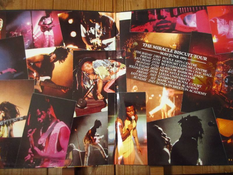 レア!! Living Colour / リヴィングカラー / Solace Of You (The Miracle Biscuit 4-Track Live 12) / Epic / 656908 5 / UKプレス!!_画像2