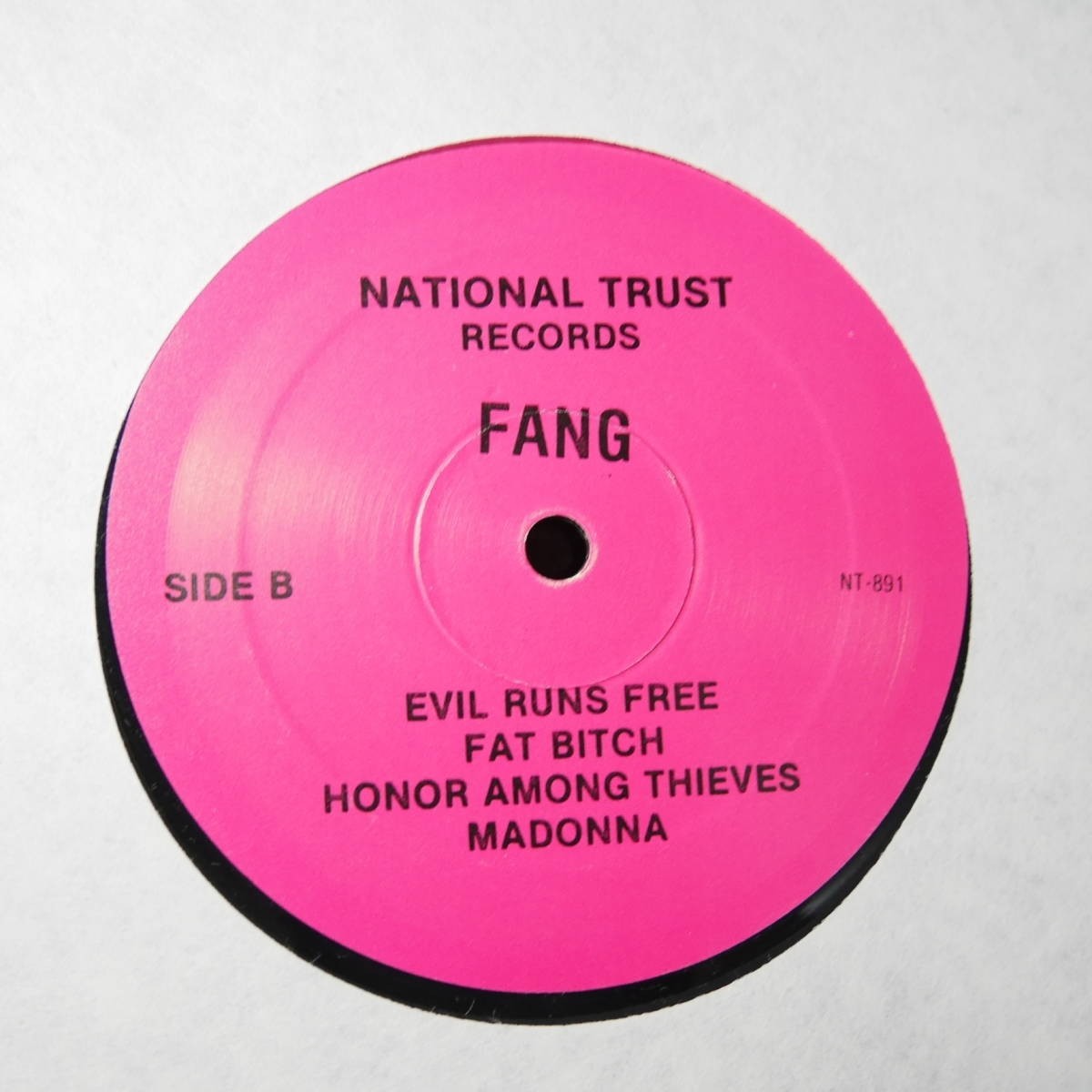 アナログ ● 輸入盤～Fang Spun Helga レーベル:National Trust Records NT-891_画像4