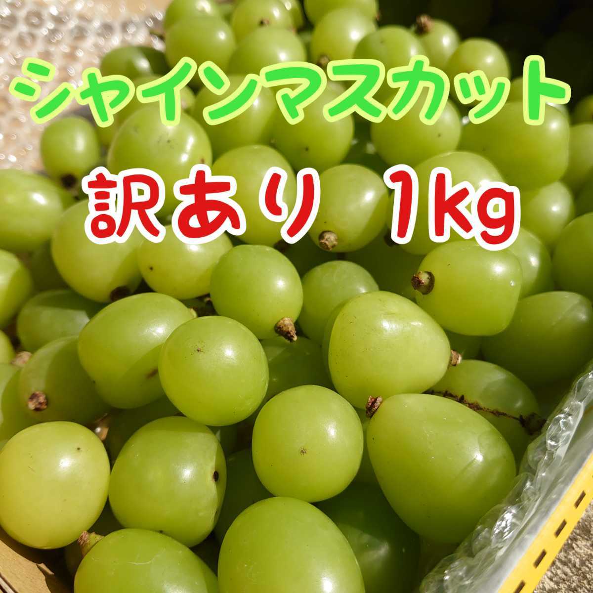 長野県産 ☆種無し巨峰 (切り落とし)１キロ