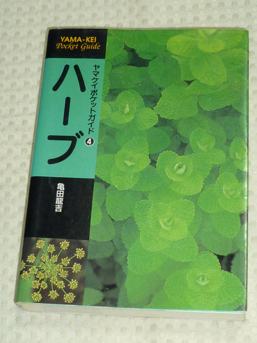 ヤマケイポケットガイド4「ハーブ」亀田龍吉 山と渓谷社の画像1