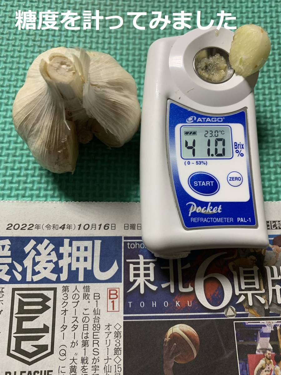 ヤフオク! - 青森県産にんにく10kg Mサイズ ニンニク1