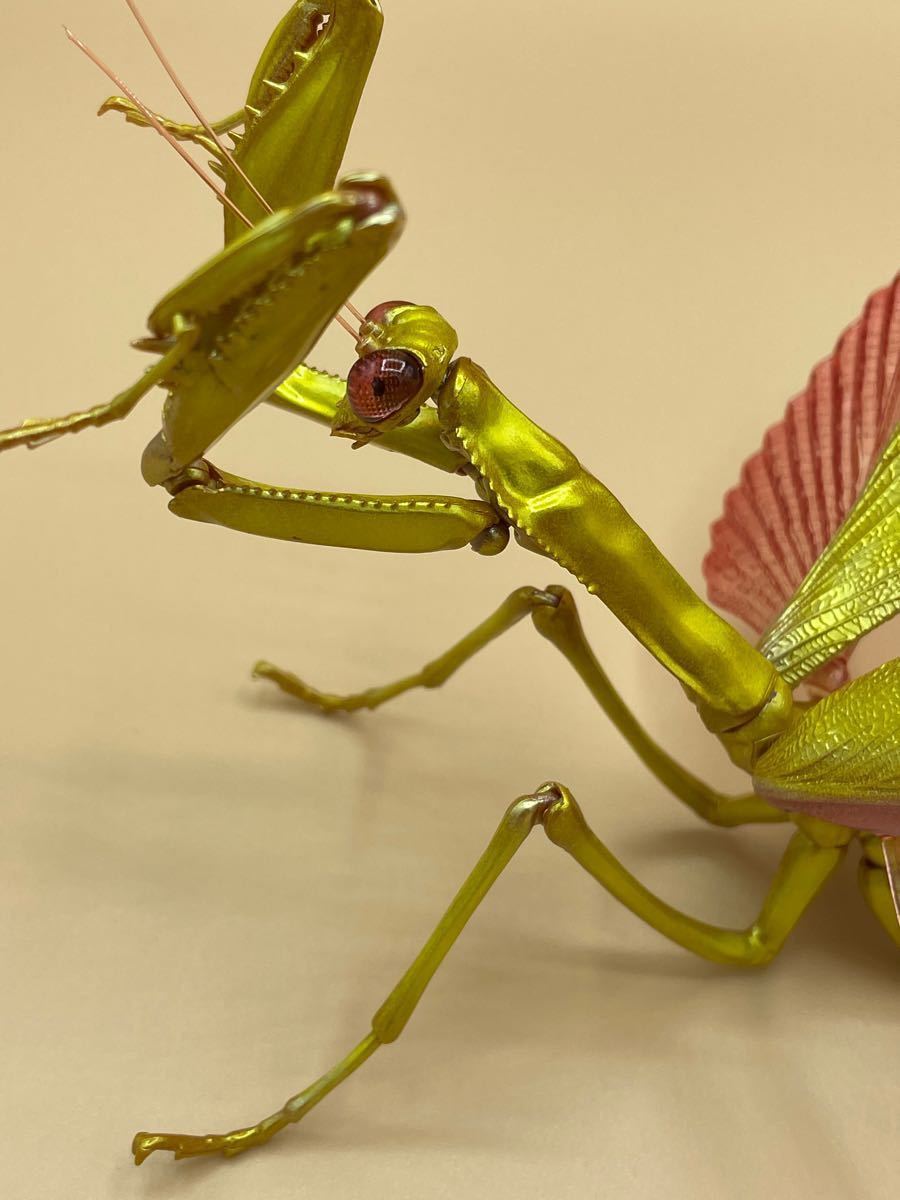 オオカマキリ全塗装（いきもの大図鑑）キャンディゴールド