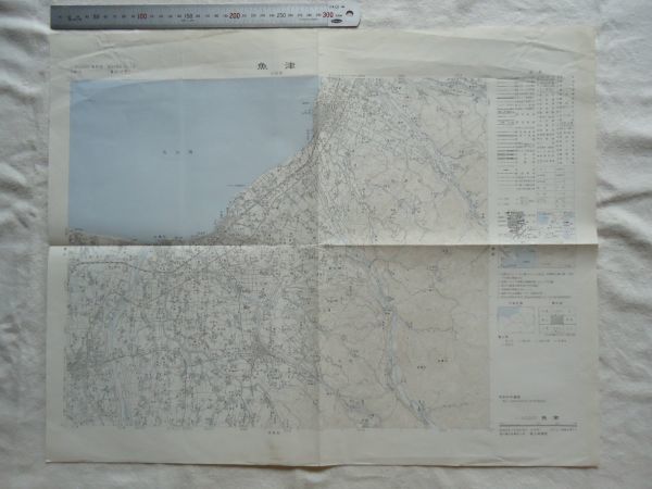 【古地図 昭和40年代】『魚津』五万分一地形図NJ-53-5-12(富山12号) 【富山地方鉄道 ホタルイカ群遊海岸 日本カーバイト 東海電極 細川機業_画像1