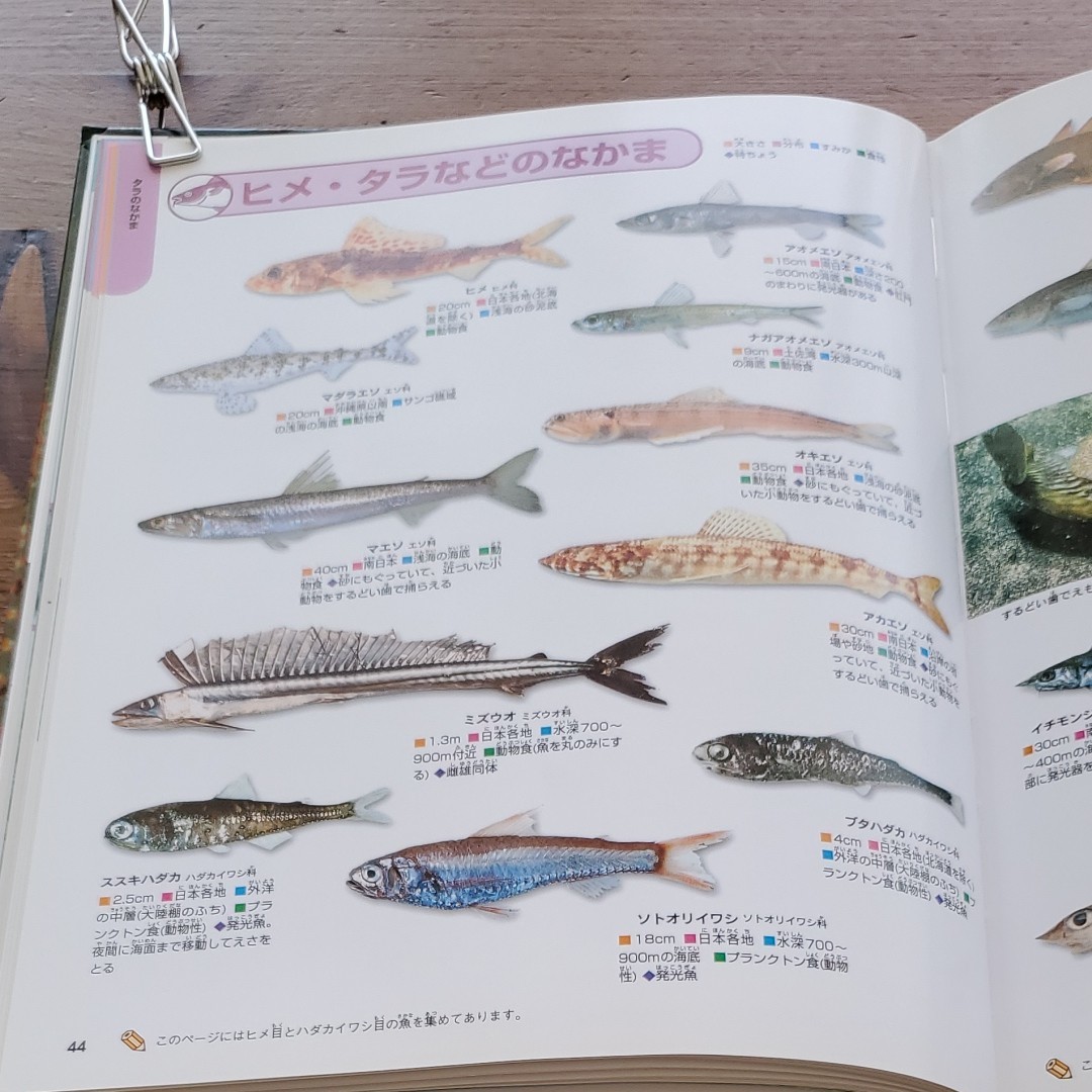 魚 (ニューワイド学研の図鑑) 沖山 宗雄 他監|Yahoo!フリマ 魚 (ニューワイド学研の図鑑) 沖山 宗雄 他監|Yahoo!フリマ