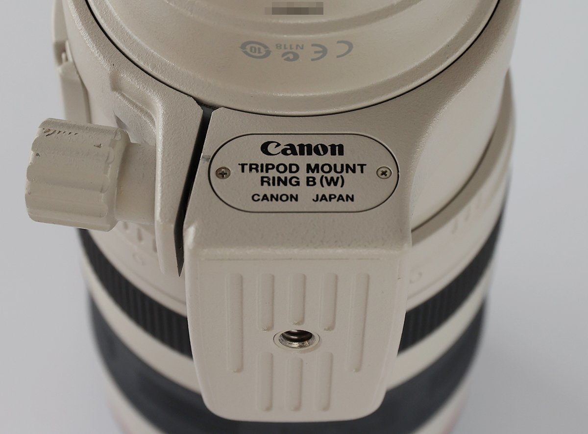 Canon EF100-400mm F4.5-5.6L IS USM_画像6