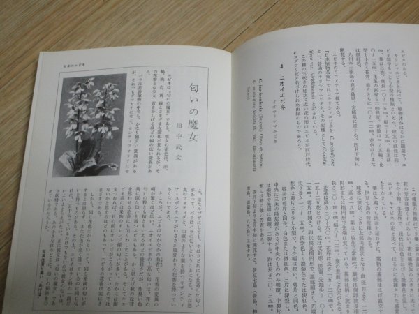  Showa era 46 year # shrimp ne. that company . wistaria ../ Tang .../. writing . new light company gardening / orchid 