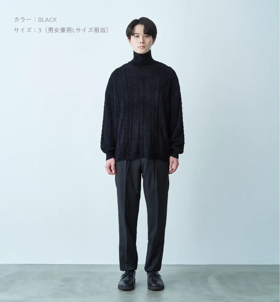 ABYTS 佐藤健 モールケーブルタートルネックニット サイズ3 ABYTS 佐藤健 モールケーブルタートルネックニット サイズ3