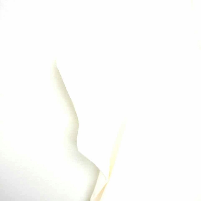 リエンダ rienda チュニック ワンピース レース 丸首 プルオーバー 透け感 半袖 FREE アイボリー 白 /TT29 レディース_画像6