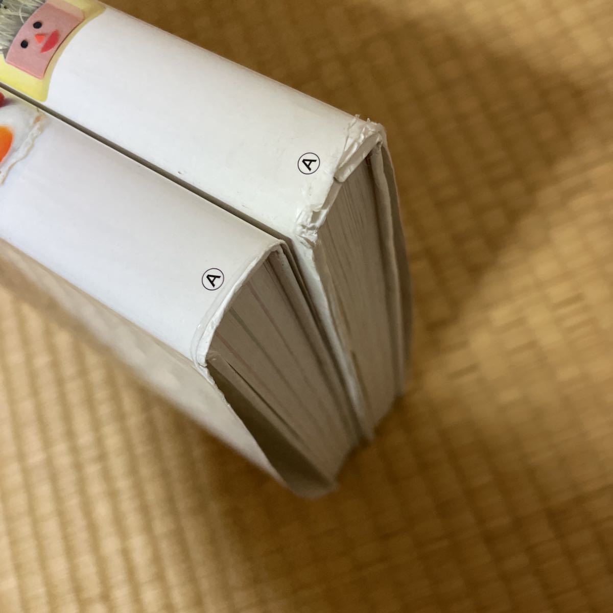 楽しく遊ぶ学ぶせいかつの図鑑 くふうの図鑑　2冊　小学館の子ども図鑑プレNEO 1500_画像3