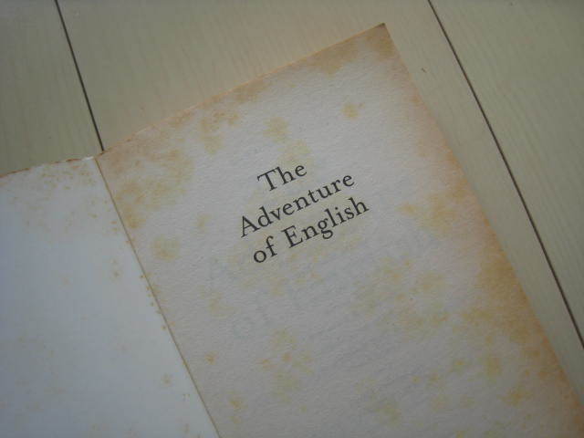 A145 即決 送料無料★洋書 ほぼ未使用★The Adventure of English:THE BIOGRAPHY of a LANGUAGE/MELVYN BRAGG
