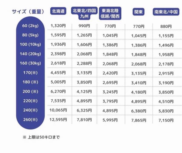 O705.14 常滑焼 開運干支 刻印あり朱泥　急須 茶こし付 巳 ヘビ 它年_画像9