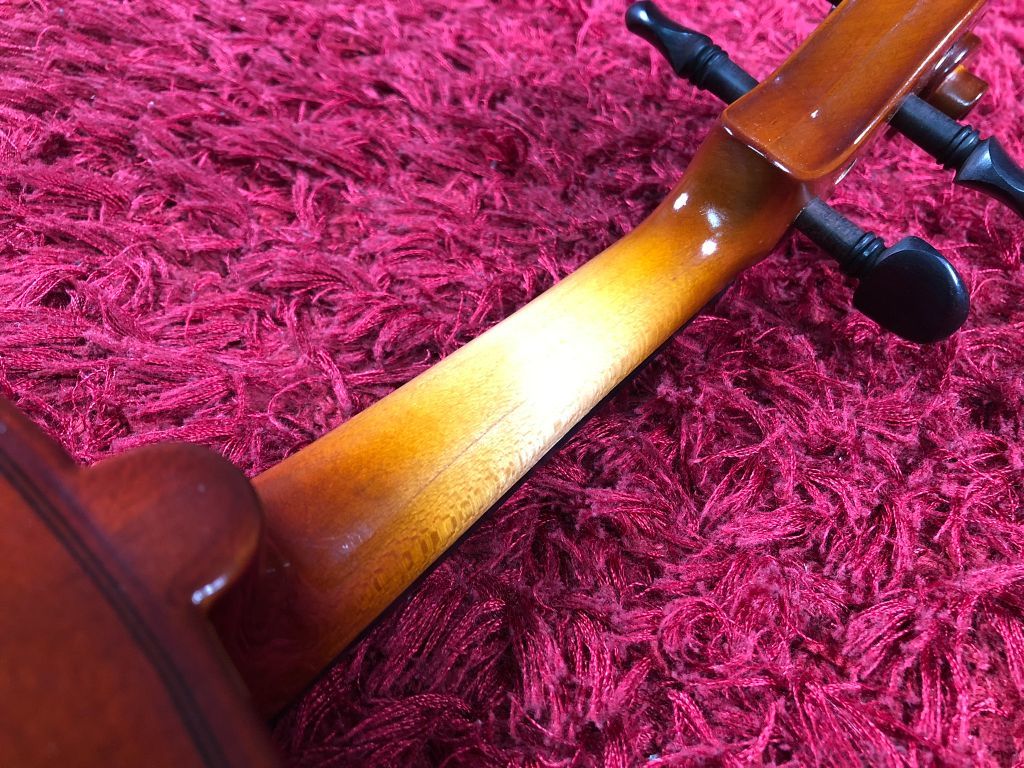 美品 Carlo Giordano カルロジョルダーノ バイオリン VS-1 セミハード