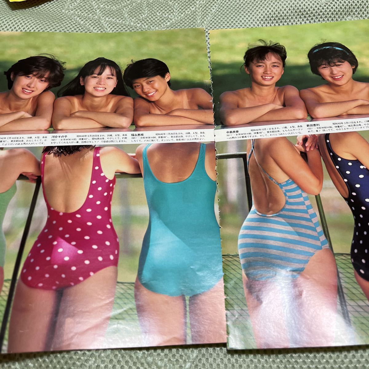 夕やけニャンニャン DVD おニャン子クラブ 新田恵利 高井麻巳子 河合
