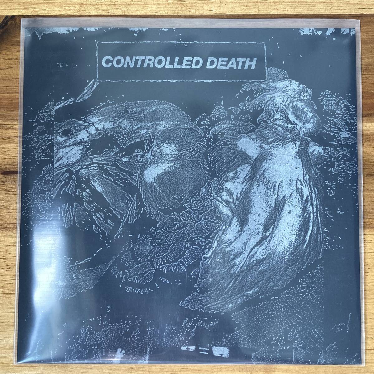 Controlled Death「Beautiful Decomposition」7" EP レコード 限定100 シルバービニール盤 未再生 マゾンナ MASONNA 山崎マゾ