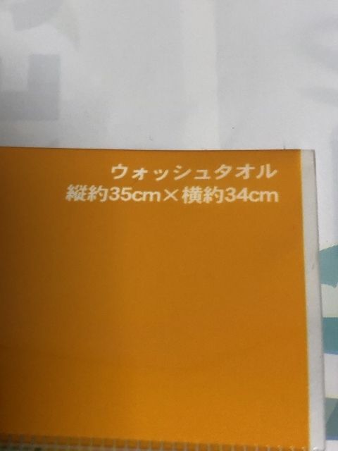 ディズニー　ハロウィーン2022年　ウオッシュタオル／ＴＤＲ_画像3