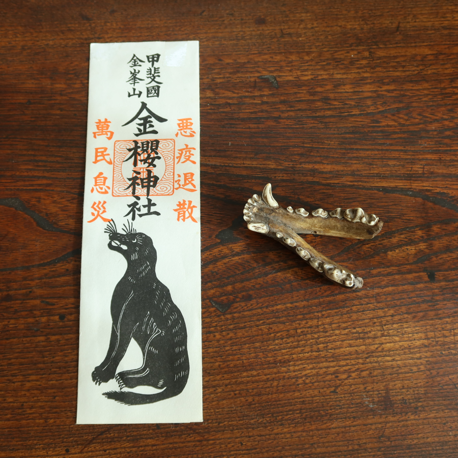 呪物 狼信仰 狼の牙 護符 ● 金櫻神社 御神犬 お犬様 アゴの骨 根付 山伏 ニホンオオカミ? 山犬信仰 まじない 修験道 骨格標本