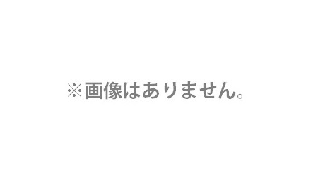 (HiKOKI) 研磨ベルト 20枚入 粒度400 SB3602DA専用 0037-7042 アルミナ(AA) 一般鋼材の仕上・木材等 20mmx520mm 00377042 日立 ハイコーキ_画像1