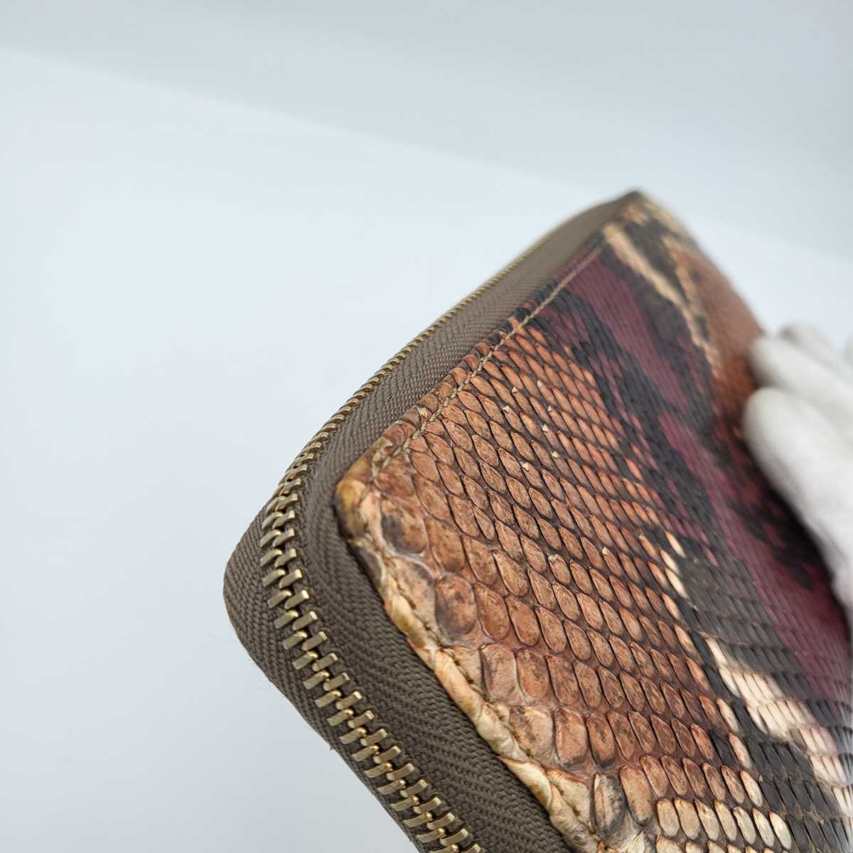 新品最新品 美品 *GUCCI グッチ* 長財布 パイソン ラウンド