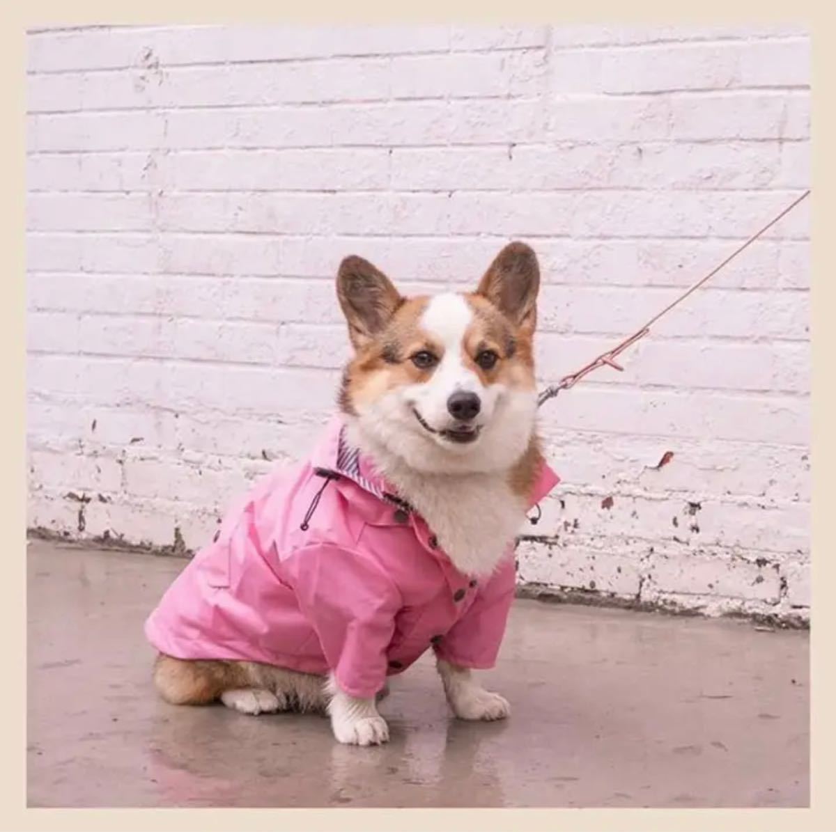 【Sサイズ・ピンク】　レインコート　ドッグウェア　ペットウェア　犬服　ペット用品　