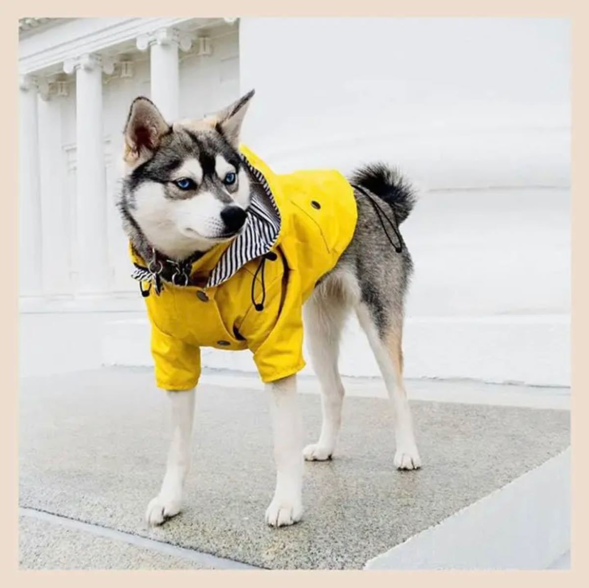 【Mサイズ・イエロー】　レインコート　ドッグウェア　ペットウェア　犬服　レイングッズ　散歩