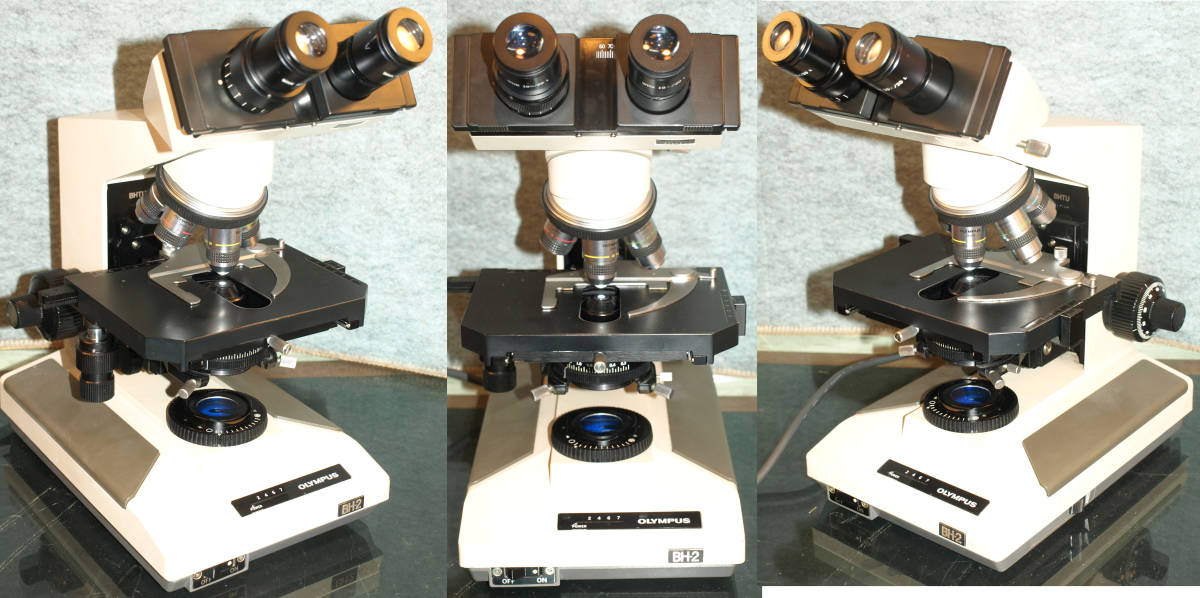 オリンパスシステム双眼生物顕微鏡BＨTU型・良品・よく見・メンテ済み