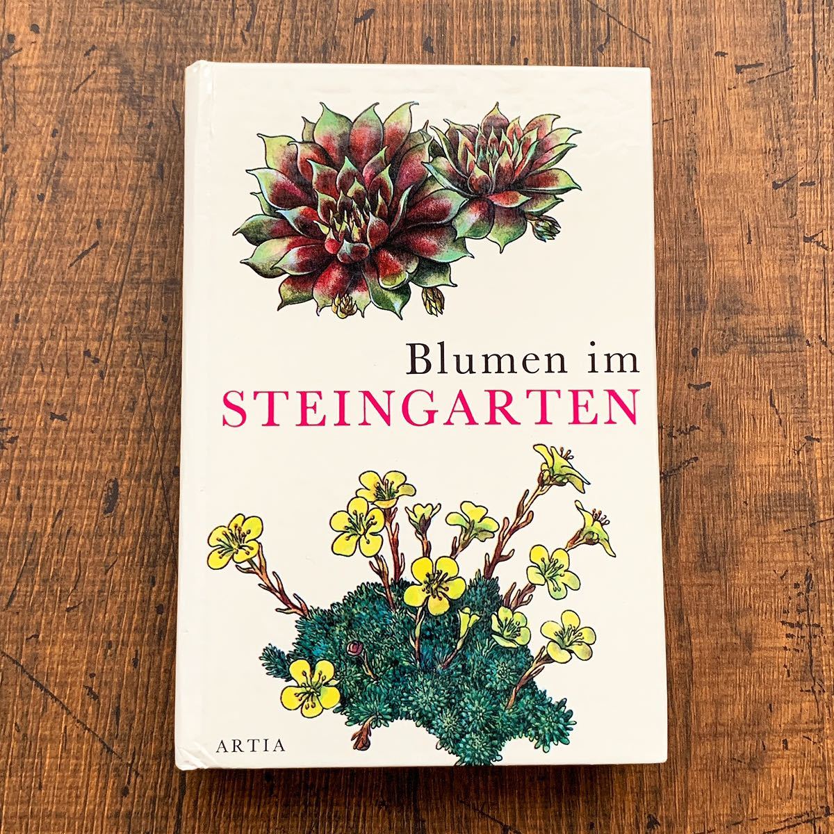 ドイツの古い植物図鑑(STEINGARTEN 1972年)/アンティーク ヴィンテージ 植物画 花 洋書 ボタニカルアート インテリア 紙物 雰囲気◎/_画像1