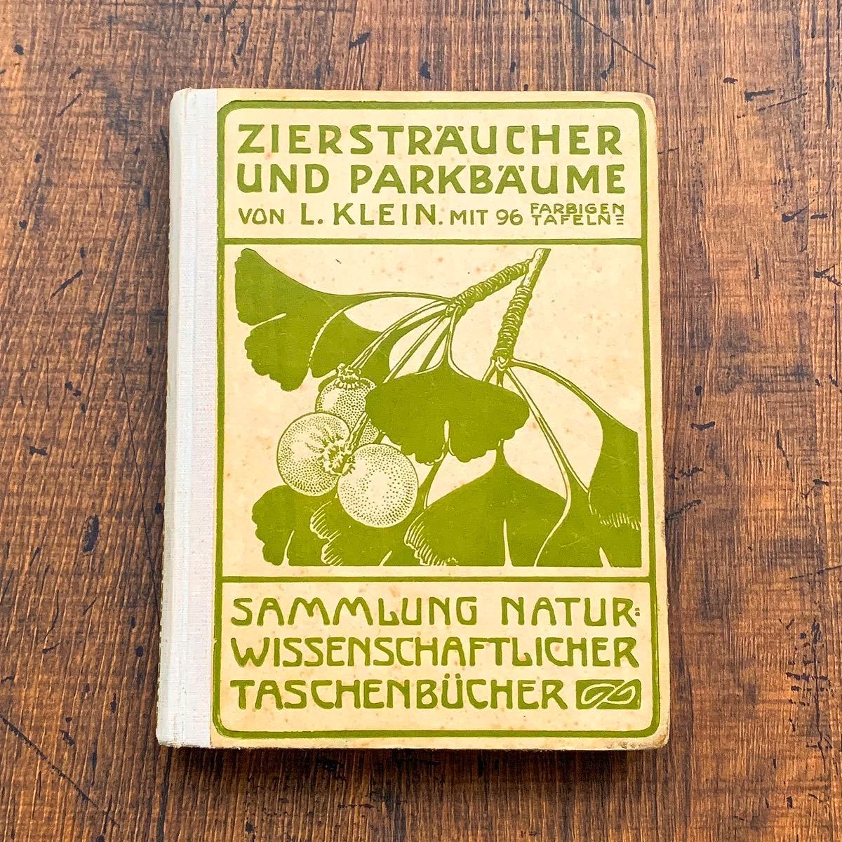 ドイツの古い植物図鑑(ZIERSTRAUCHER u. PARKBAUME 1923年)/アンティーク ヴィンテージ 植物画 花 洋書 ボタニカルアート 紙物 雰囲気◎/の画像1