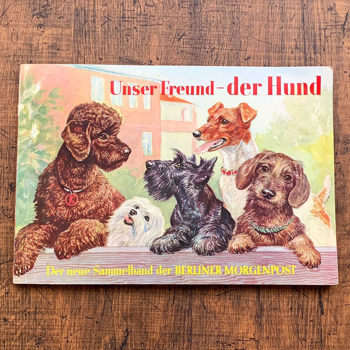 ドイツの古い犬の図鑑(Unser Freund der Hund 1960年)/アンティーク ヴィンテージ ヨーロッパ イラスト 犬のイラスト 犬の絵 雰囲気◎/