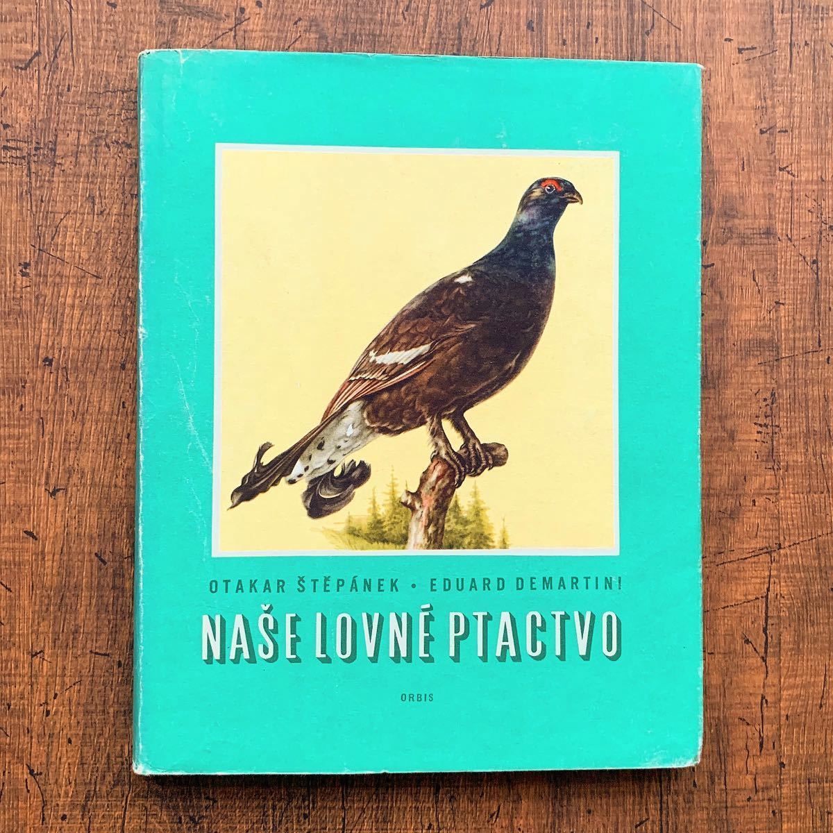 チェコの古い鳥類図鑑(NASE LOVNE PTACTVO 1962年)/アンティーク ヴィンテージ ヨーロッパ 鳥図鑑 鳥のイラスト 雰囲気◎/ - 洋書 チェコの古い鳥類図鑑(NASE LOVNE PTACTVO 1962年)/アンティーク ヴィンテージ ヨーロッパ 鳥図鑑 鳥のイラスト 雰囲気◎/ - 洋書