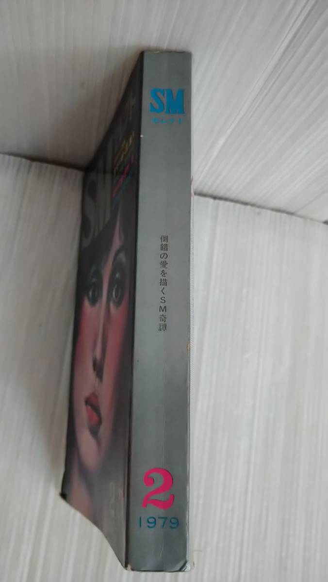 セレクトSM セレクト 1979 2月 好評のS小説陣 鬼ゆり峠・団鬼六 爛れる巴里・落合恵太郎 禁断の花蜜・須村桂 生贄未亡人・杉村春也_画像3