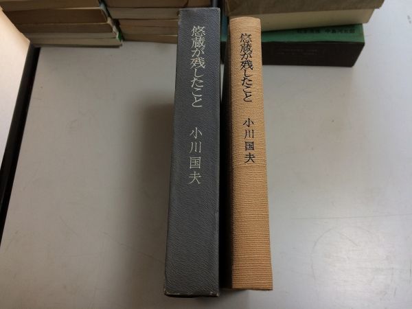 ●P182●悠蔵が残したこと●小川国夫●審美社●昭和44年初版●影の部分違約サラゴサ大亀のいた海岸港にて河口の南入江の家族●即_画像2