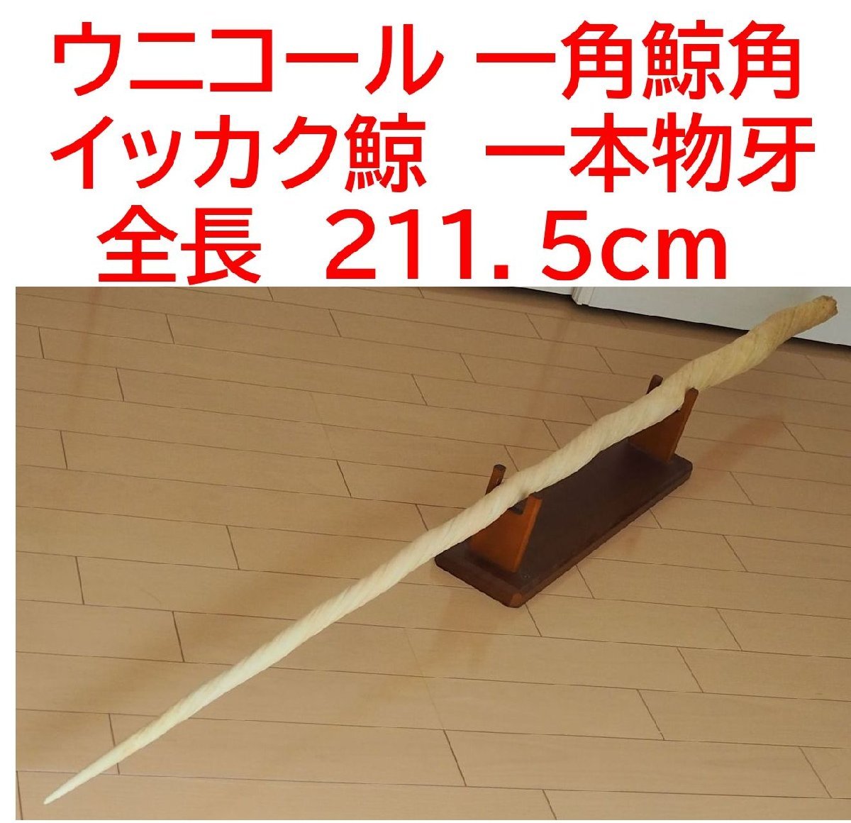 Yahoo!オークション - 《小川処堂》 希少 【ウニコール 超特大一 Yahoo!オークション - 《小川処堂》 希少 【ウニコール 超特大一
