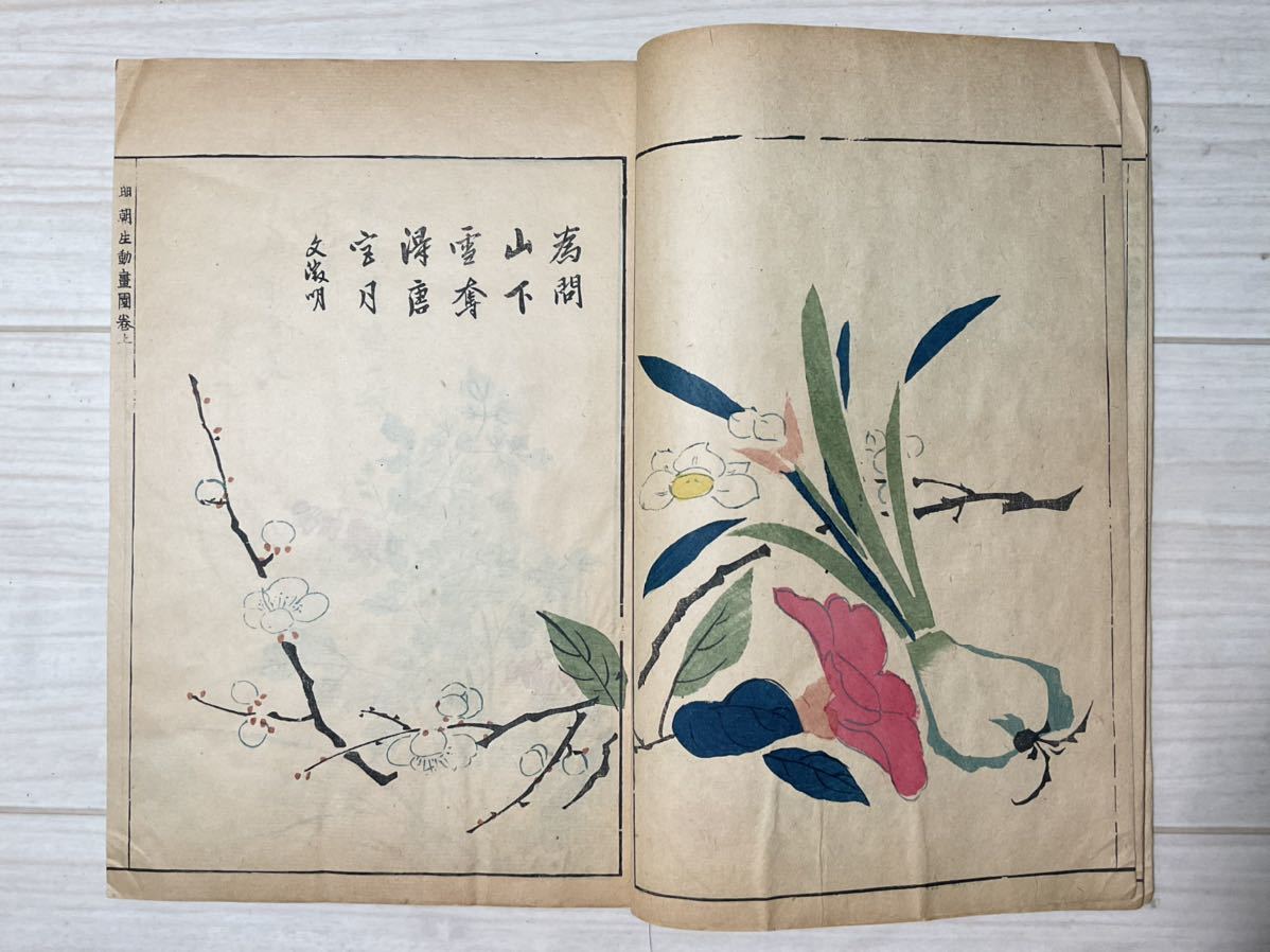 プロモーション到着 多色木版刷 工芸新図 上下2冊揃 彩色 木版画 多数