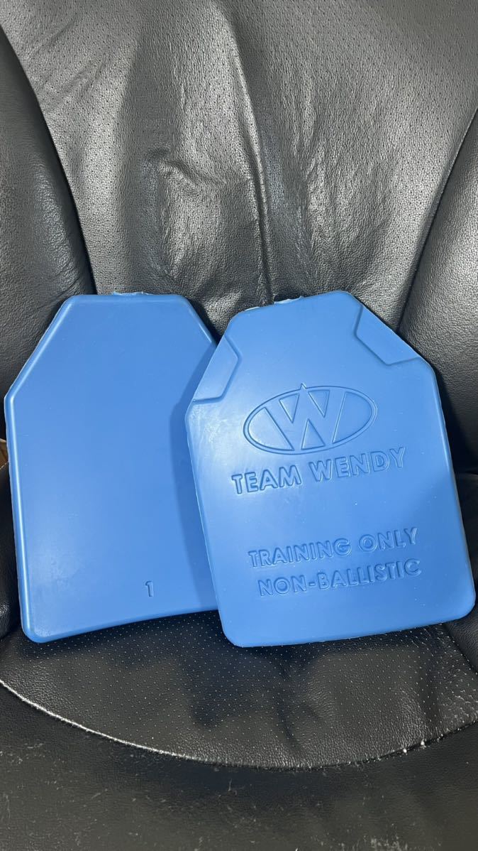 チームウェンディ Team Wendy リアルウェイトダミープレート | europneumaq.com