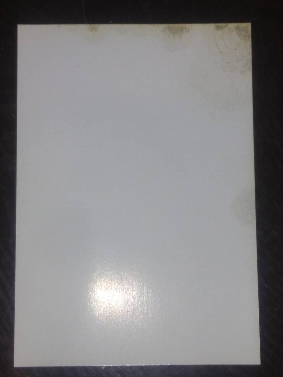 ブラックラグーンBLACK LAGOON　2008年カレンダーイラストカード　とらのあな　広江礼威　D67_画像2