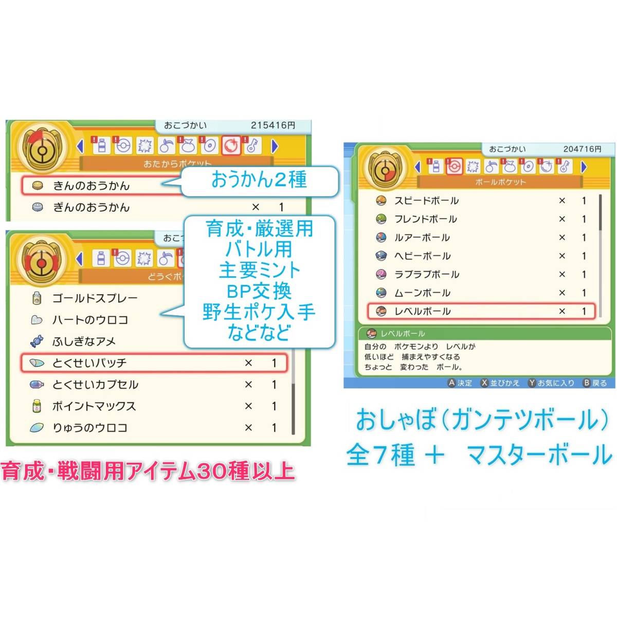 Switch Lite グレー 箱・ケース付 ポケモンBDSPバージョン1.1.1