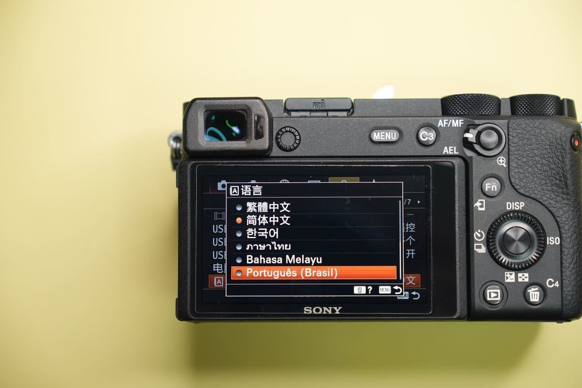 Sachi 様 専用 α6600 Sony ILCE-6600 ボディのみ 海外仕様 日本 Sachi 様 専用 α6600 Sony ILCE-6600 ボディのみ 海外仕様 日本