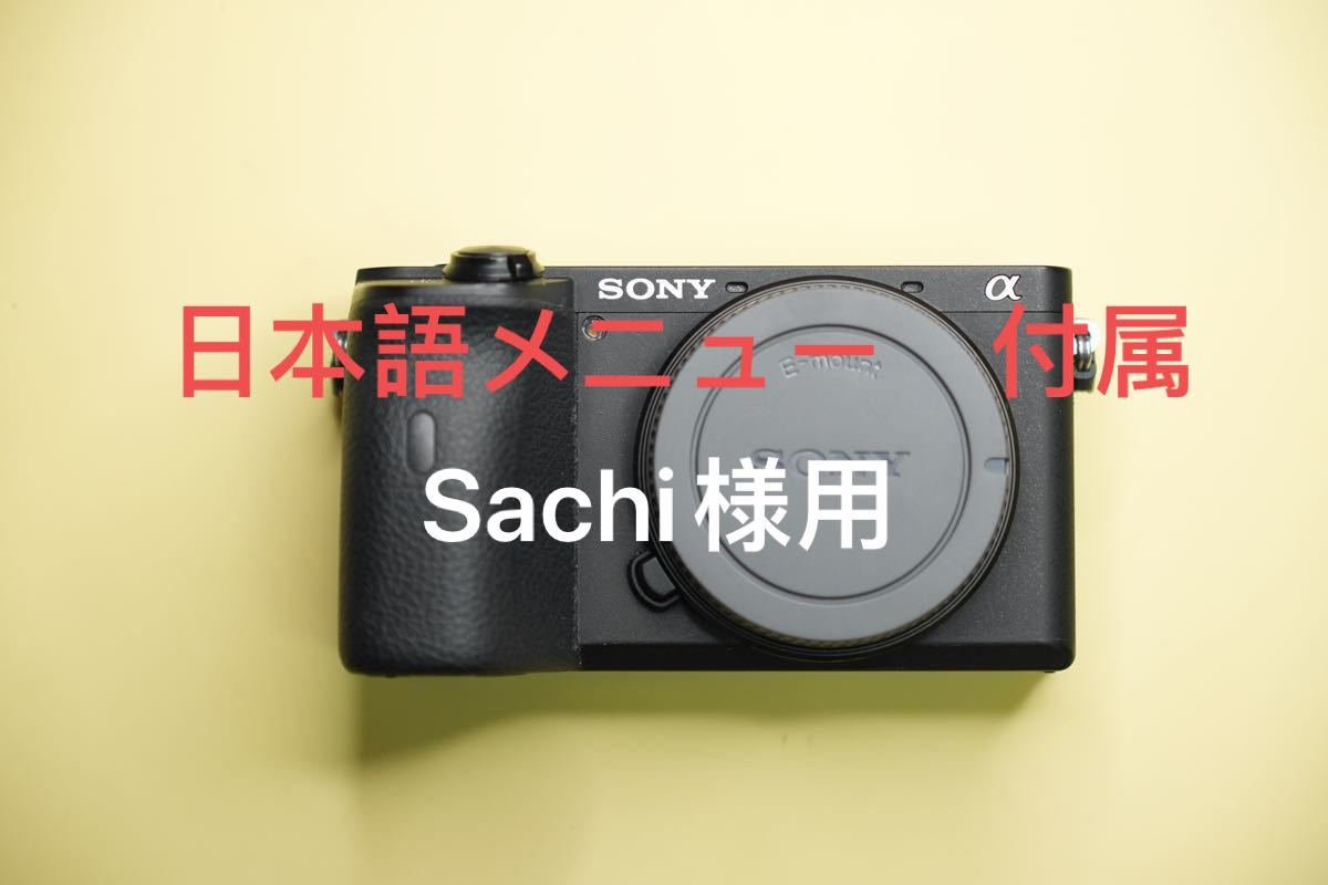 Sachi 様 専用 α6600 Sony ILCE-6600 ボディのみ 海外仕様 日本 Sachi 様 専用 α6600 Sony ILCE-6600 ボディのみ 海外仕様 日本