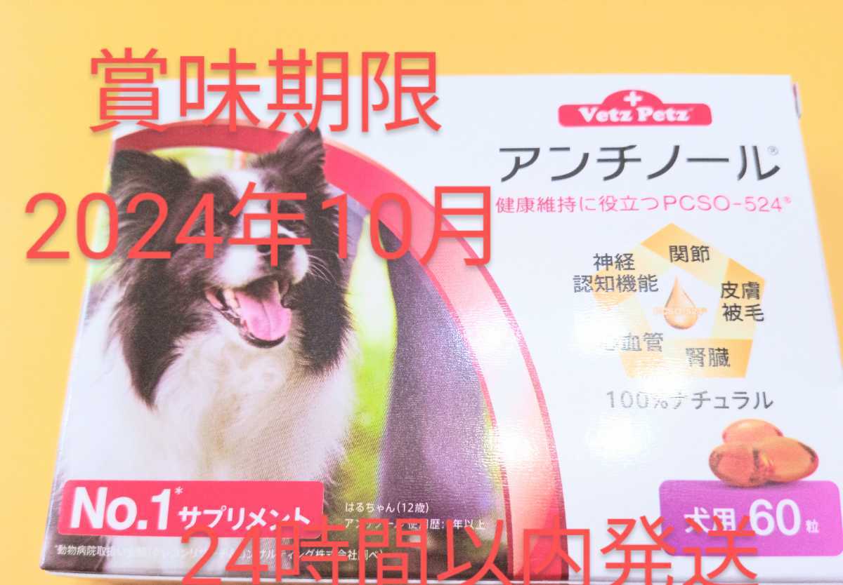 2022セール アンチノール 60粒✖️4箱 - web.raimaxfibra.com.br