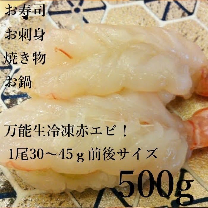 【お刺身・鍋・焼】大赤エビ　500ｇ　お試し用サイズ　お中元　お歳暮　ギフト　あかえび　アカ　お鍋　お寿司　海老_画像3