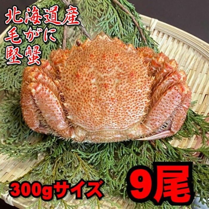 【北海道産】毛がに　9尾（300ｇサイズ）　堅蟹　毛蟹　けがに　ケガニ　蟹　かに　ボイル　母の日　父の日　お中元　お歳暮_画像1