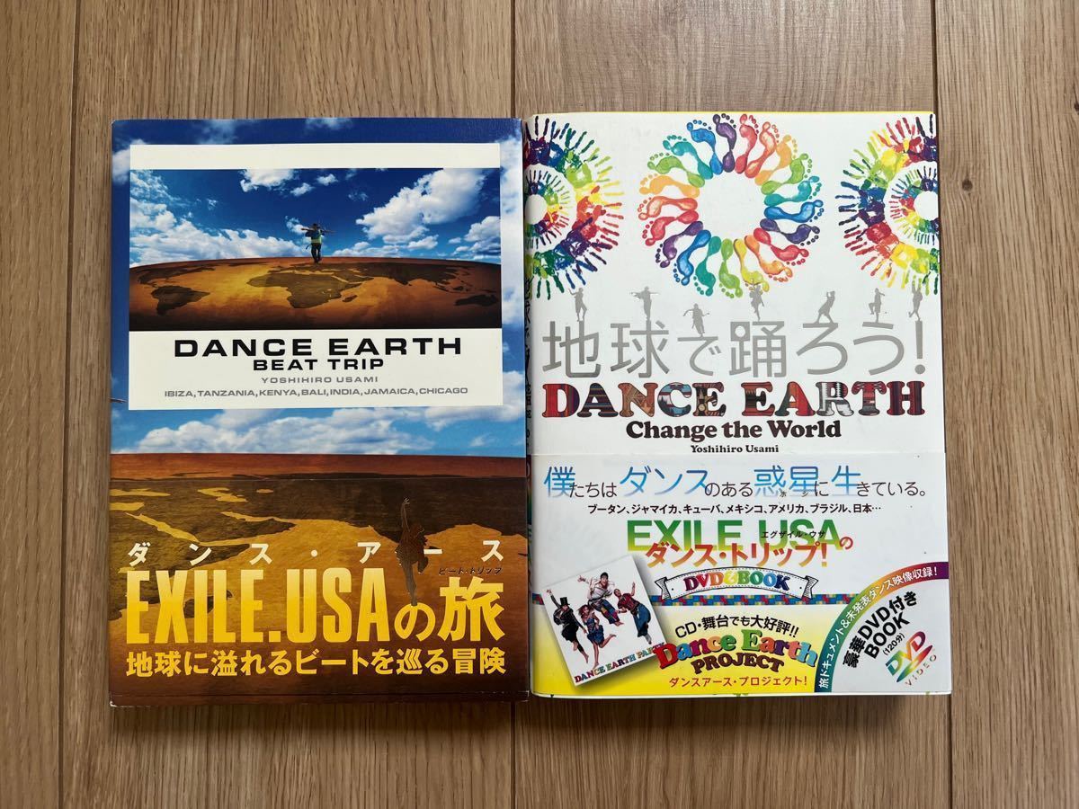 DANCE EARTH PARTY まとめ売り - 国内アーティスト