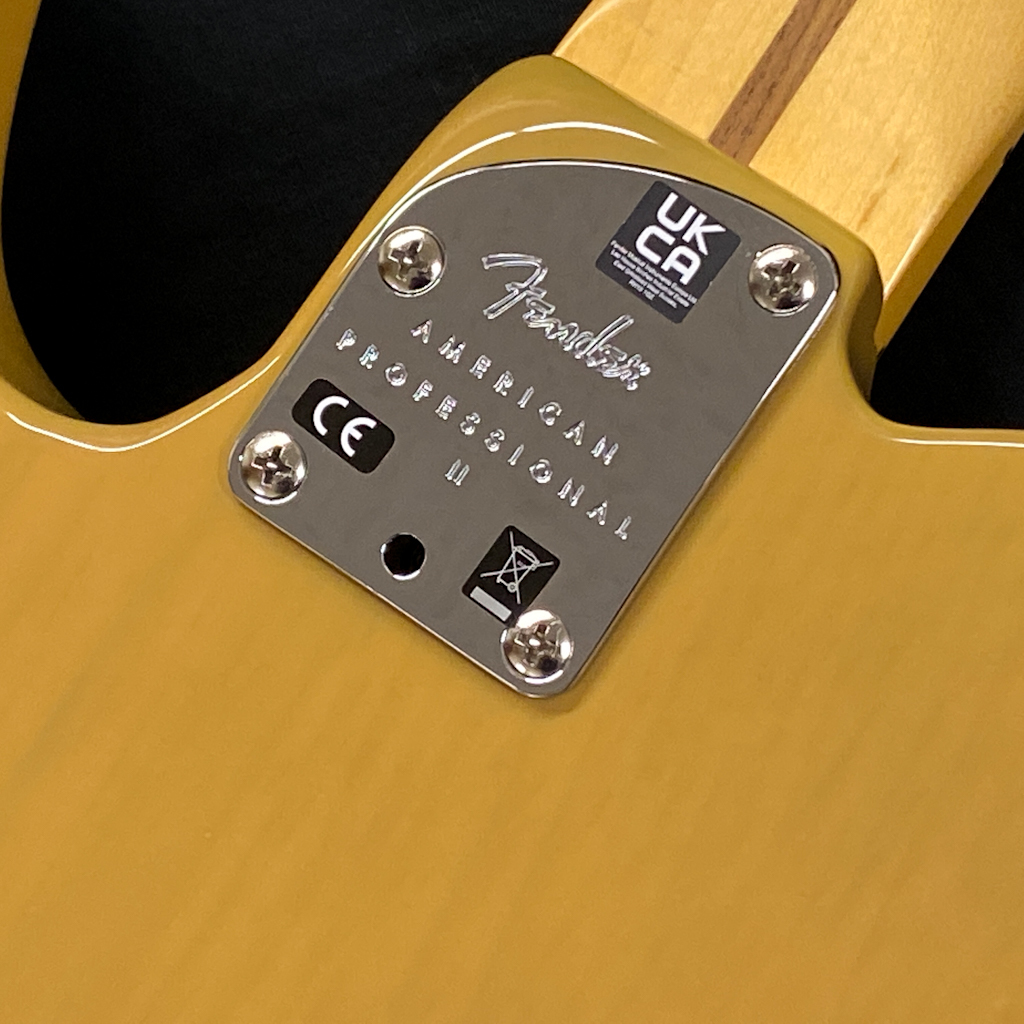 Fender American Professional II Telecaster Maple Fingerboard, Butterscotch Blonde フェンダー_画像4