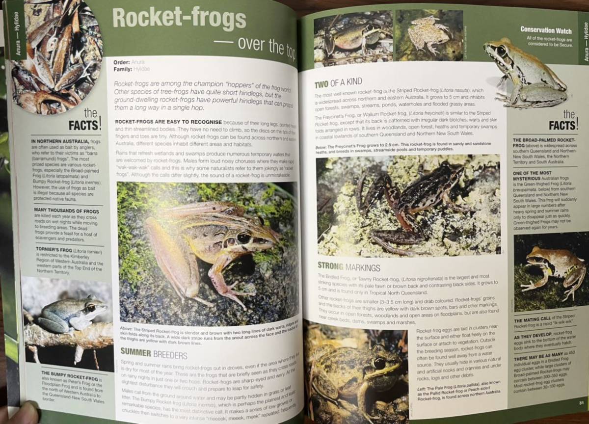 評判 Frogs Toads カエルとヒキガエル クイーンズランド博物館と