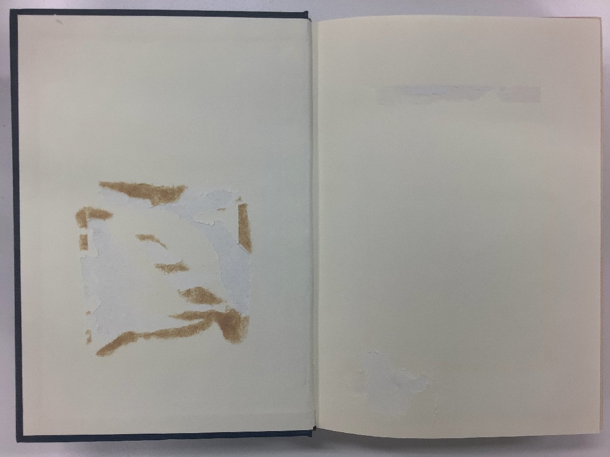 【除籍本/まとめ】近代医学の史的基盤 上下巻セット 著 川喜田愛郎 発行 岩波書店 医学史/歴史【ta05i】