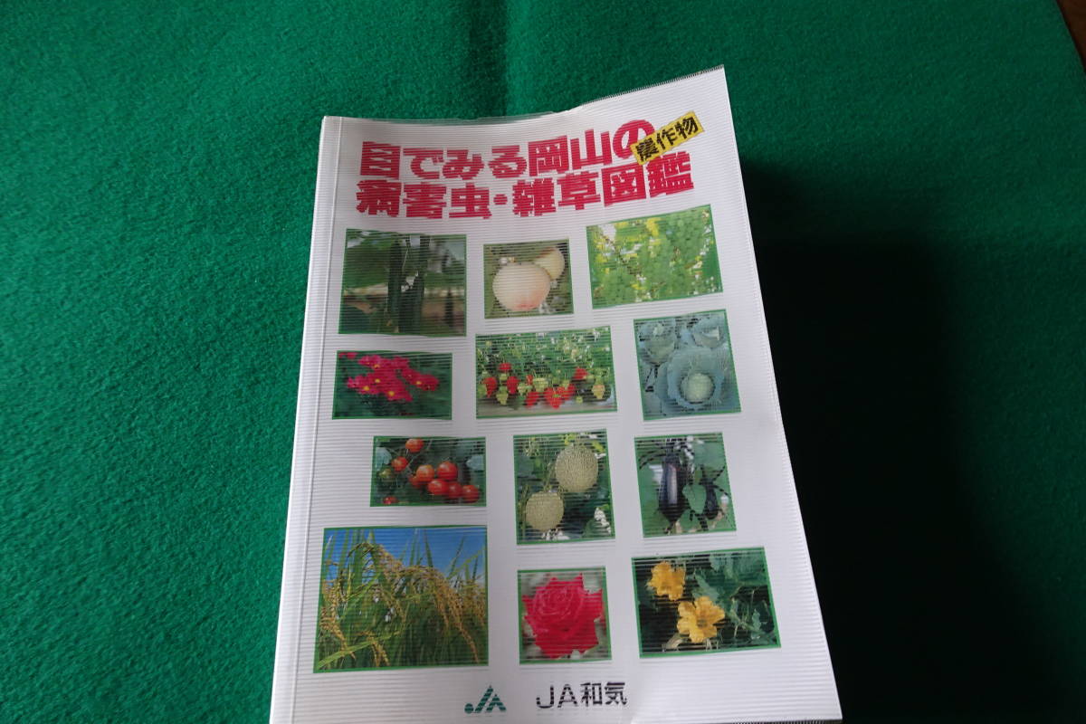 [ глаз . смотреть Okayama. сельское хозяйство произведение предмет болезнь . насекомое *.. иллюстрированная книга ]