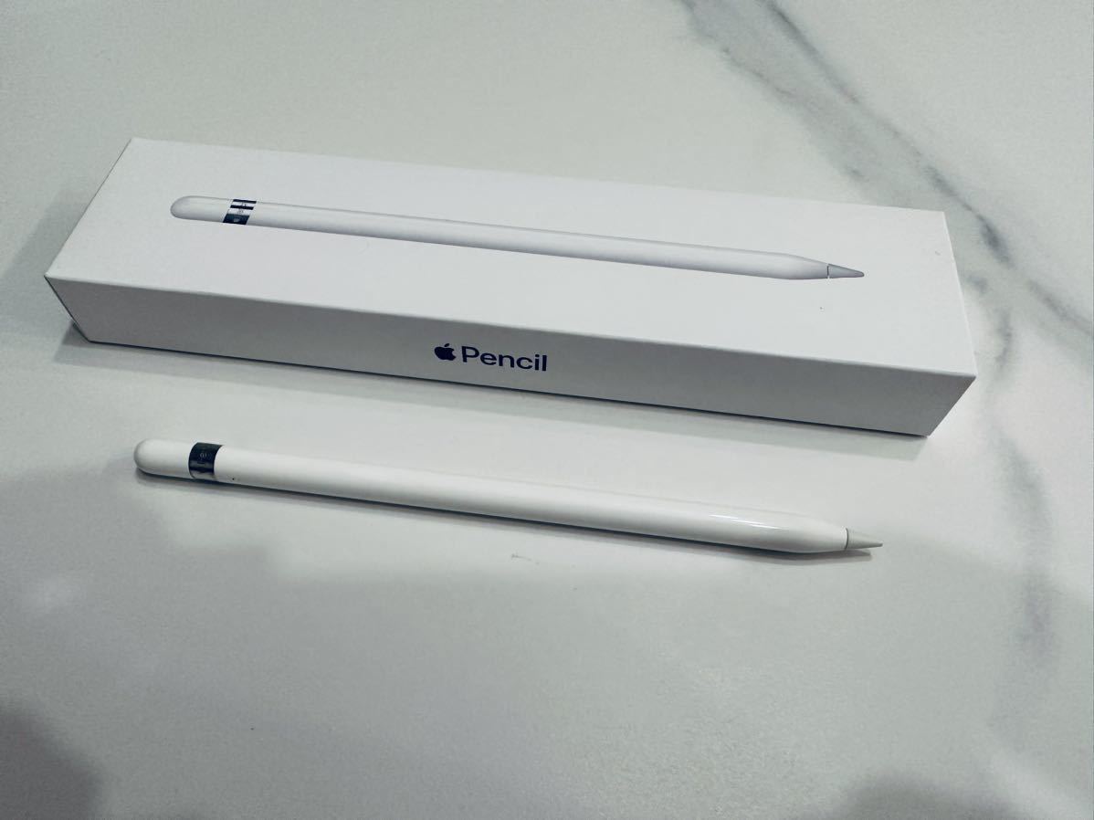 スノーブルー アップルペンシル 第一世代 ジャンク - その他